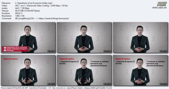 Optimizing Business with Advanced ERP Strategies