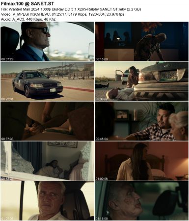 Wanted Man 2024 1080p BluRay DD5.1 X265-Ralphy