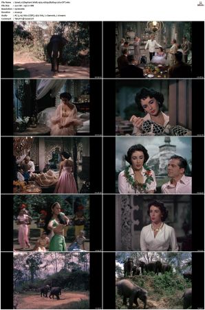Elephant Walk 1954 1080p BluRay x264-OFT