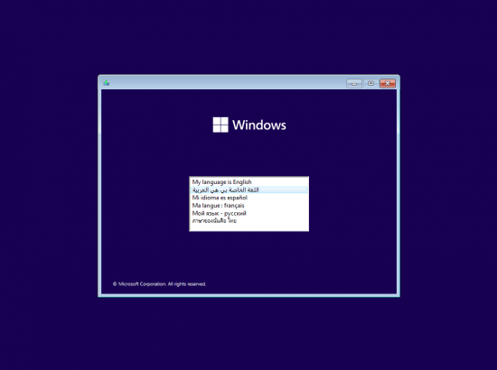 Windows 11 22H2 build 22621.3155 9in1 (No TPM Required) Preactivated Multilingual