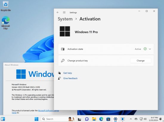 Windows 11 22H2 Pro 22621.3155 (No TPM Required) Preactivated Multilingual