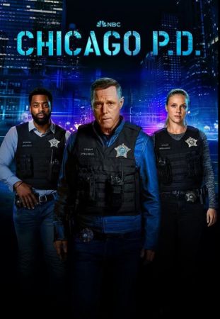 Chicago PD 2014 S11E09 Somos Uno 1080p AMZN WEB-DL DDP 5 1 x265 - YELLO