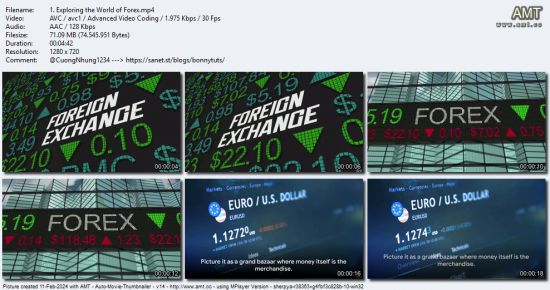 Forex Trading Course for Beginners: Secret Strategy Unveiled