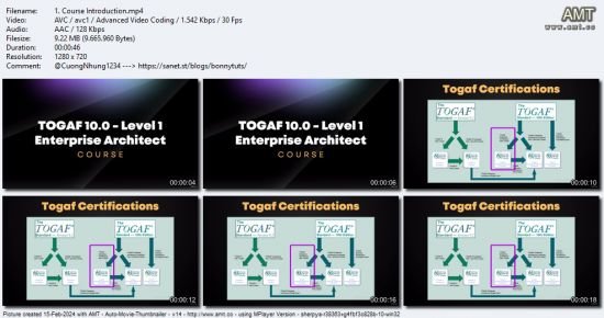 TOGAF 10.0 - Level 1 Enterprise Architect Course