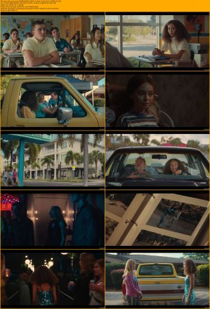 Suncoast 2024 720p DSNP WEB-DL DDP5.1 Atmos H264-FLUX
