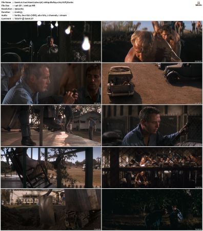 Cool Hand Luke 1967 1080p BluRay x264-SUP3R