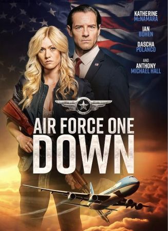 Air Force One Down 2024 1080p WEBRip x264 AAC5 1-YTS