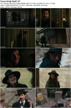 Calamity Jane 2024 1080p WEBRip DDP2.0 H265-iVy