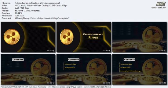 Understanding Ripple as Cryptocurrency