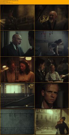 WIL 2024 1080p NF WEB-DL DUAL DDP5.1 H264-FLUX