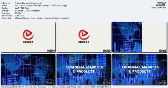 FRM Part 1 - Book 1| Book 2| Book 3| Book 4| - Full Course