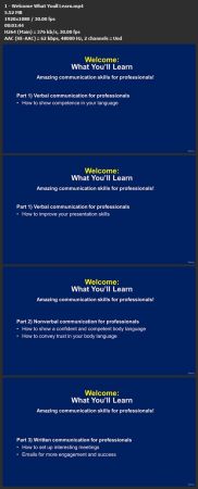 Amazing Communication Skills For Professionals