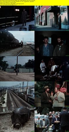 The Last American Hobo 1967 1080p BluRay x264 AAC-YTS