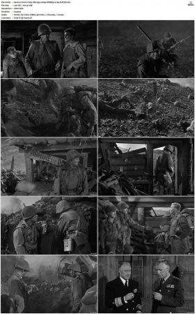 Pork Chop Hill 1959 1080p WEBRip x264-SUP3R