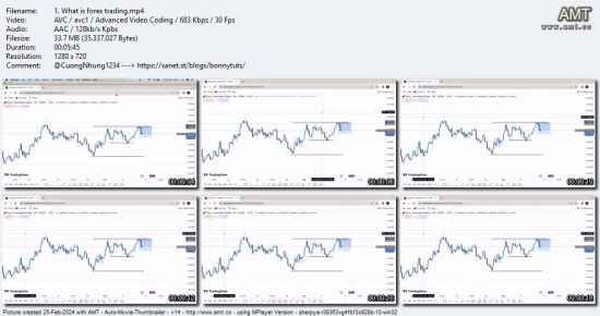 Forex Mastery Course