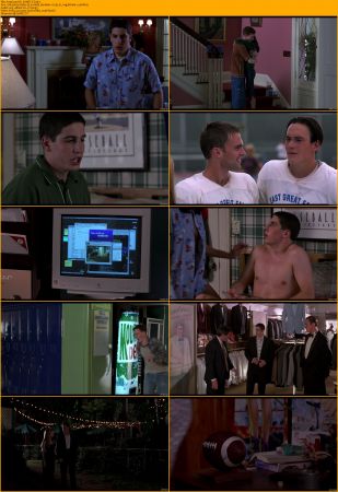 American Pie Collection 1080p BRRip x264 AC3 DiVERSiTY