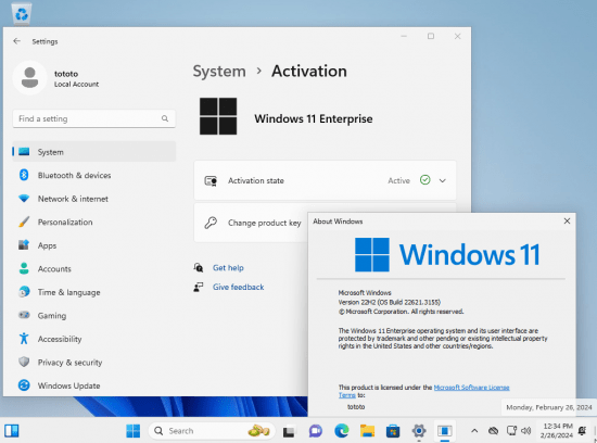 Windows 11 22H2 build 22621.3155 9in1 (No TPM Required) Preactivated Multilingual