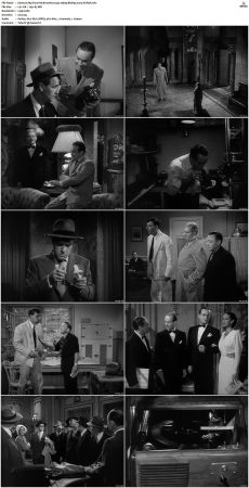 My Favorite Brunette 1947 1080p BluRay x264-SUP3R
