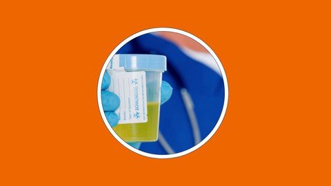 Dot Qualification Specimen Collector Training