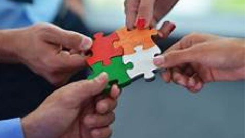 Business Partnership Structure