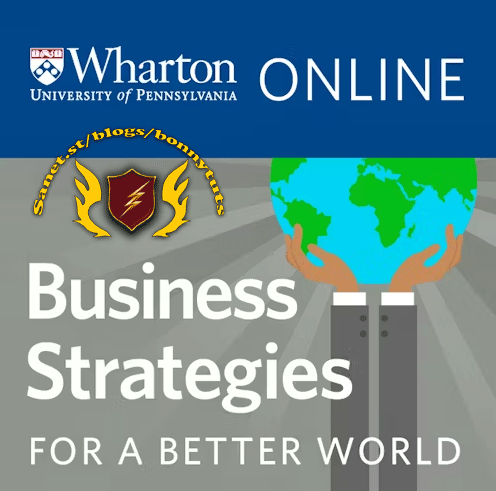 Coursera - Business Strategies for A Better World Specialization