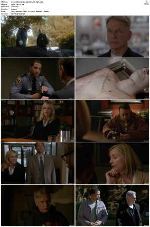 NCIS S12 1080p AMZN WEB-DL x265 HEVC DDP 5 1-PHOCiS