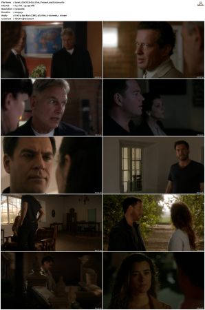 NCIS S11 1080p AMZN WEB-DL x265 HEVC DDP 5 1-PHOCiS