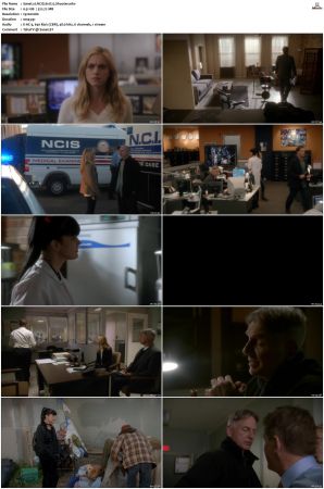 NCIS S11 1080p AMZN WEB-DL x265 HEVC DDP 5 1-PHOCiS
