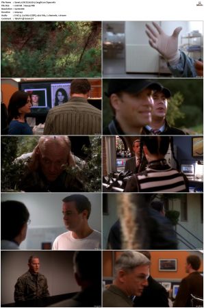 NCIS S02 1080p AMZN WEB-DL x265 HEVC DDP 5 1-PHOCiS