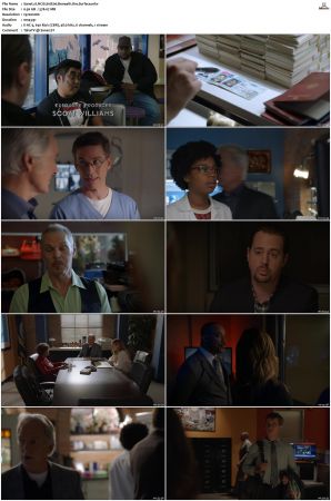 NCIS S16 1080p AMZN WEB-DL x265 HEVC DDP 5 1-PHOCiS