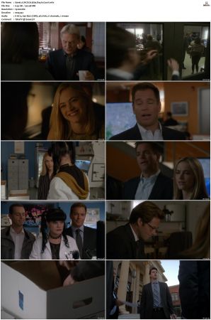 NCIS S13 1080p AMZN WEB-DL x265 HEVC DDP 5 1-PHOCiS