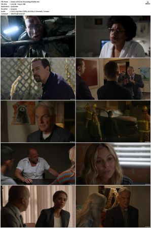NCIS S17 1080p AMZN WEB-DL x265 HEVC DDP 5 1-PHOCiS