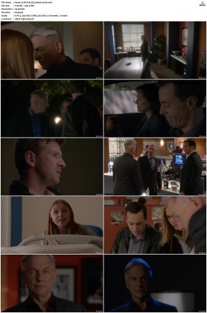 NCIS S13 1080p AMZN WEB-DL x265 HEVC DDP 5 1-PHOCiS