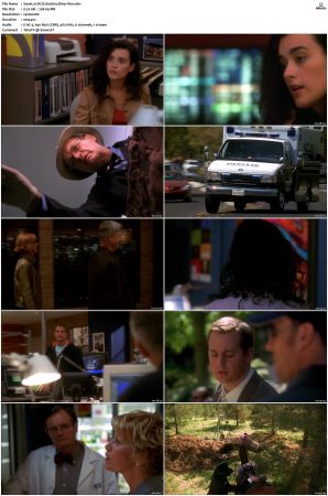 NCIS S03 1080p AMZN WEB-DL x265 HEVC DDP 5 1-PHOCiS