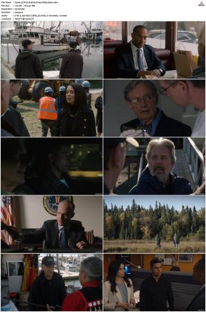 NCIS S19 1080p AMZN WEB-DL x265 HEVC DDP 5 1-PHOCiS