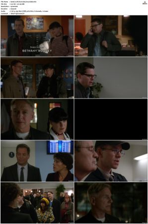 NCIS S12 1080p AMZN WEB-DL x265 HEVC DDP 5 1-PHOCiS
