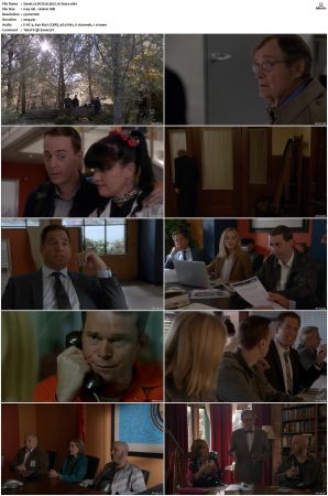 NCIS S13 1080p AMZN WEB-DL x265 HEVC DDP 5 1-PHOCiS