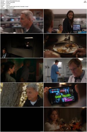 NCIS S09 1080p AMZN WEB-DL x265 HEVC DDP 5 1-PHOCiS