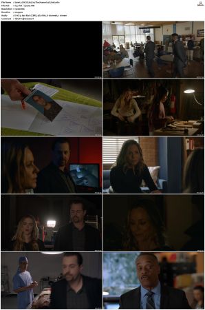 NCIS S15 1080p AMZN WEB-DL x265 HEVC DDP 5 1-PHOCiS