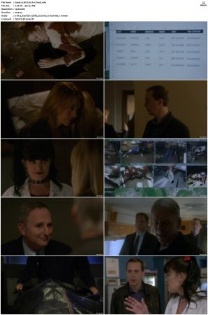 NCIS S12 1080p AMZN WEB-DL x265 HEVC DDP 5 1-PHOCiS