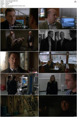 NCIS S13 1080p AMZN WEB-DL x265 HEVC DDP 5 1-PHOCiS