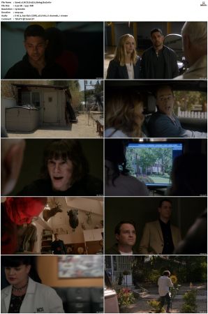 NCIS S14 1080p AMZN WEB-DL x265 HEVC DDP 5 1-PHOCiS