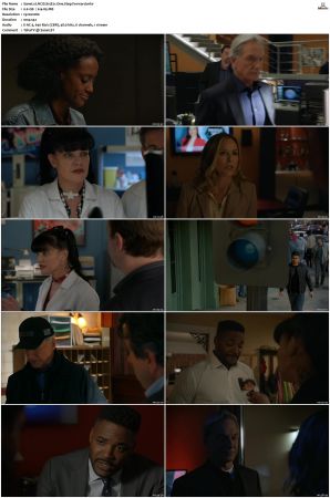 NCIS S15 1080p AMZN WEB-DL x265 HEVC DDP 5 1-PHOCiS