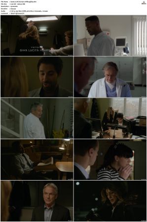 NCIS S14 1080p AMZN WEB-DL x265 HEVC DDP 5 1-PHOCiS