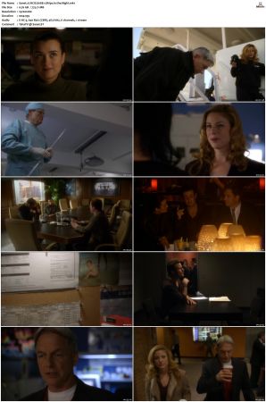 NCIS S08 1080p AMZN WEB-DL x265 HEVC DDP 5 1-PHOCiS