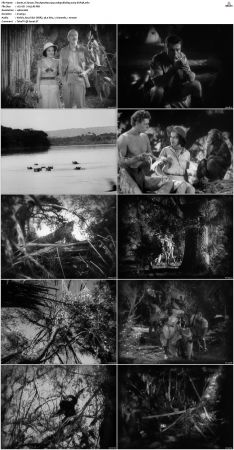 Tarzan The Ape Man 1932 1080p BluRay x264-SUP3R