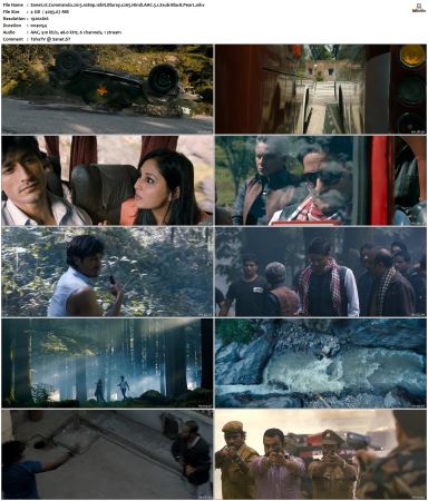 Commando 2013 1080p 10bit Bluray x265 Hindi AAC 5.1 Esub-BlacK PearL