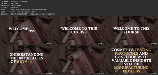 The Art Of Cosmetics