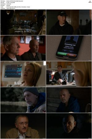 NCIS S12 1080p AMZN WEB-DL x265 HEVC DDP 5 1-PHOCiS