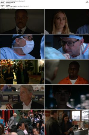 NCIS S13 1080p AMZN WEB-DL x265 HEVC DDP 5 1-PHOCiS